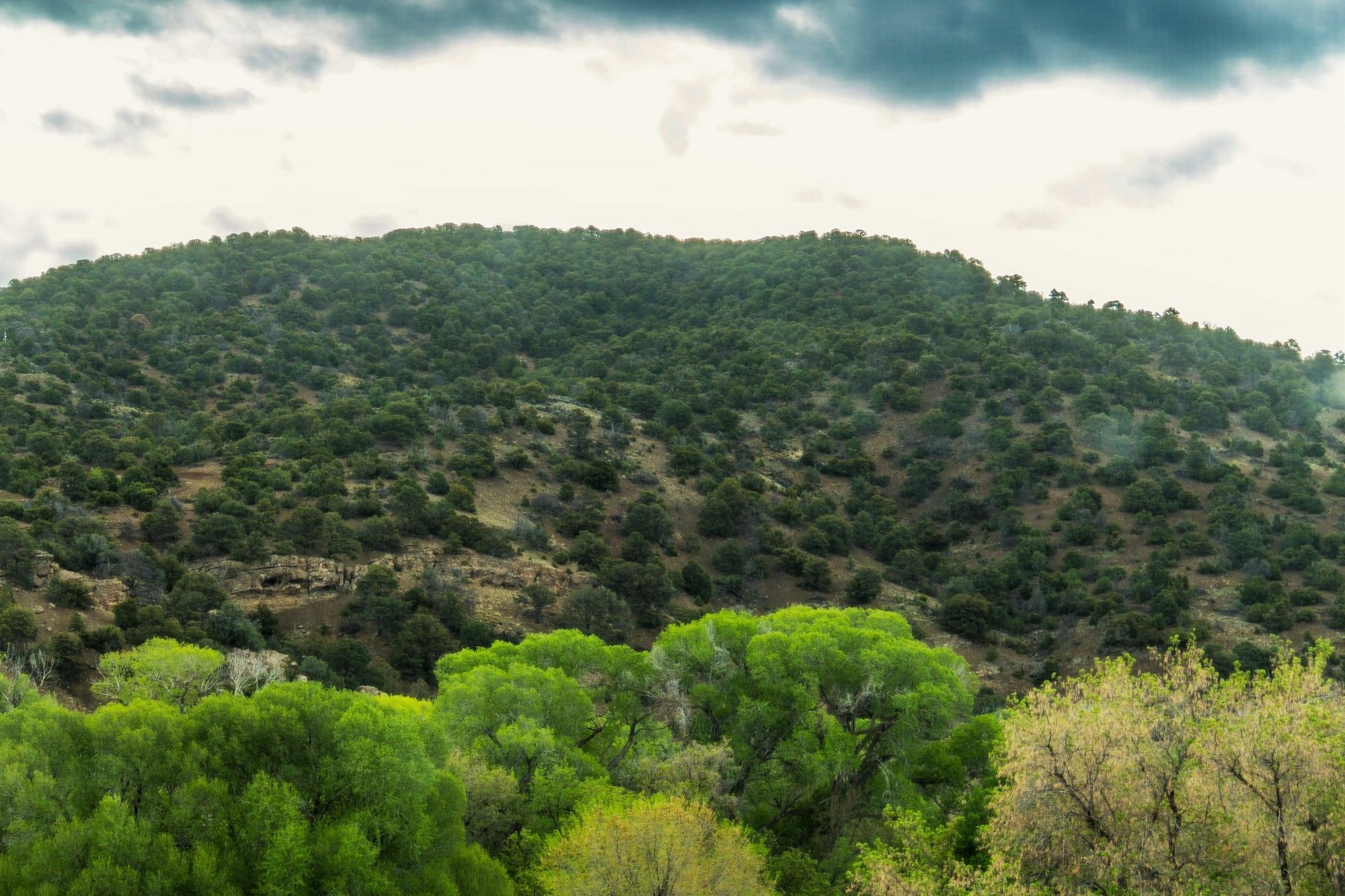 Blue Sky Retreat At San Geronimo Lodge Τάος Εξωτερικό φωτογραφία